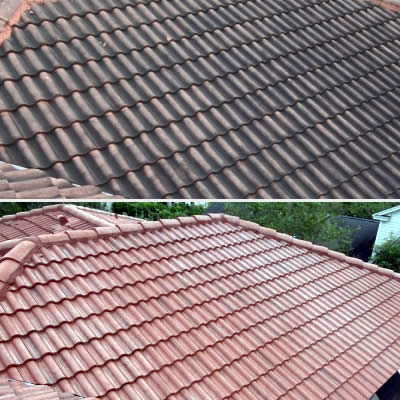 Roof Cleaning Pressure Washing Services FL