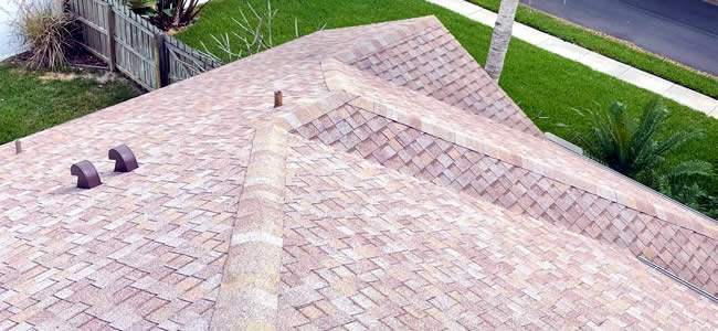 Residential Roof Soft Washing Services Florida